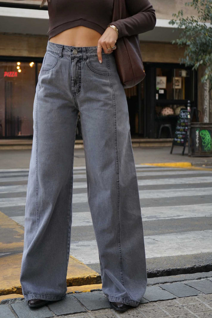 Jeans Bilbao Baggy Gris